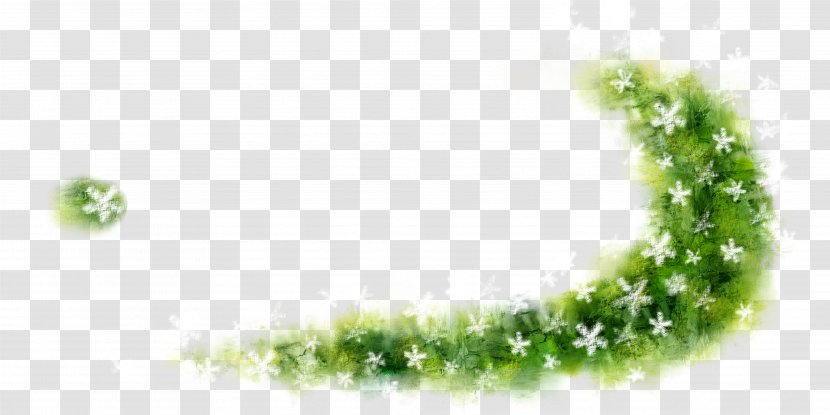 Rattan Vine Flower Download - Tree - Frame Floral Material Transparent PNG