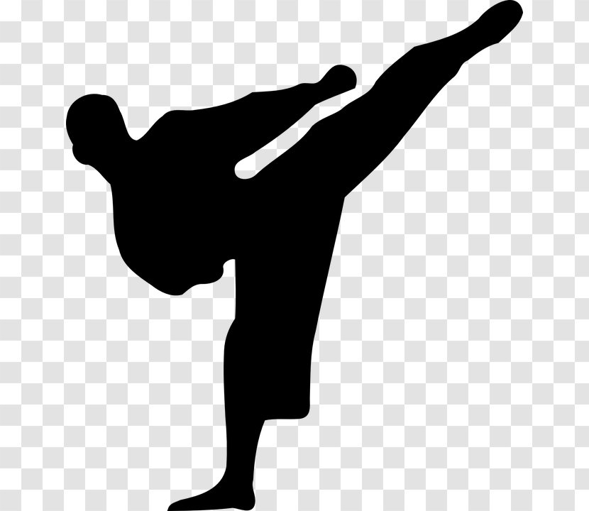 Karate Silhouette Martial Arts Clip Art - Kickblackandwhite Transparent PNG