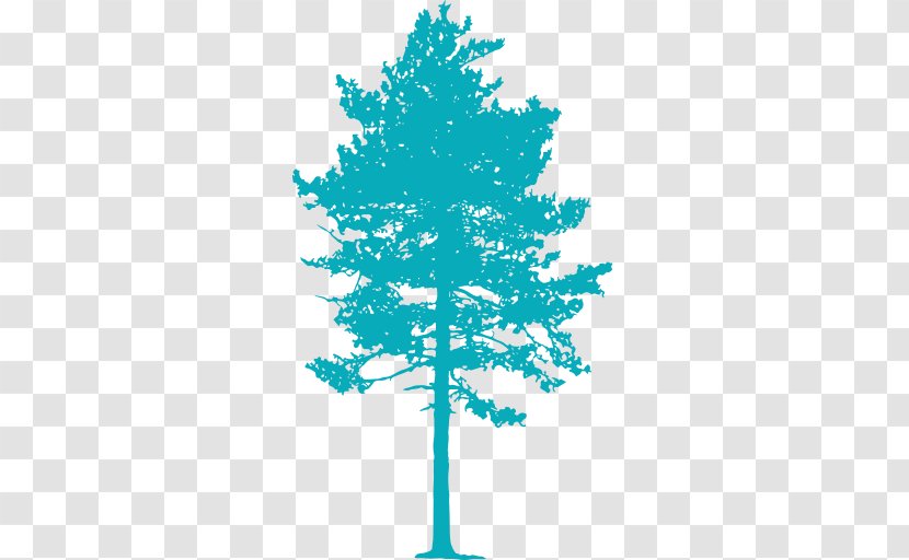 Conifers Spruce Plant Fir Pine - Bed - Pole Transparent PNG