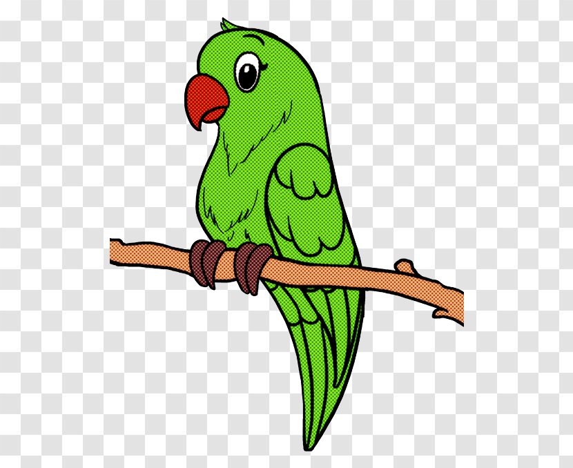 Lovebird - Budgie - Macaw Transparent PNG