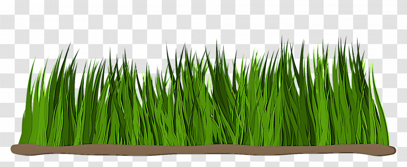 Wheatgrass Commodity Transparent PNG