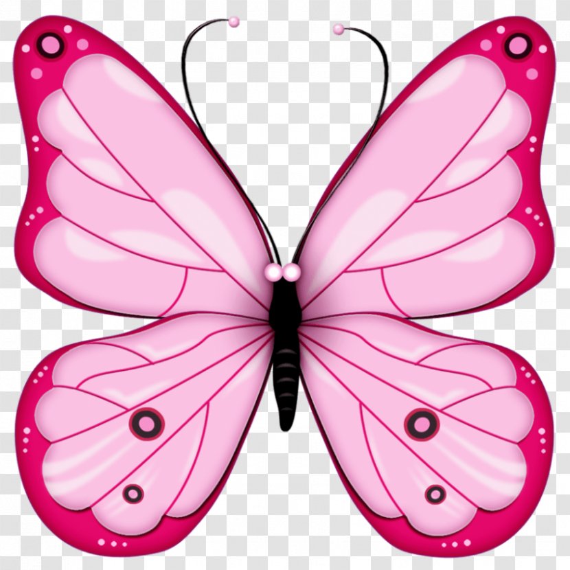 Butterfly Clip Art Openclipart Image Pink - Moths And Butterflies Transparent PNG