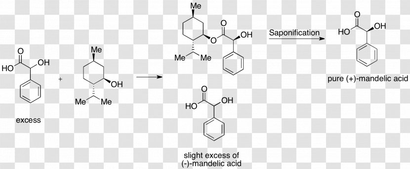 Kinetic Resolution Mandelic Acid Enantiomer Organic Chemistry - Cold Ling Transparent PNG