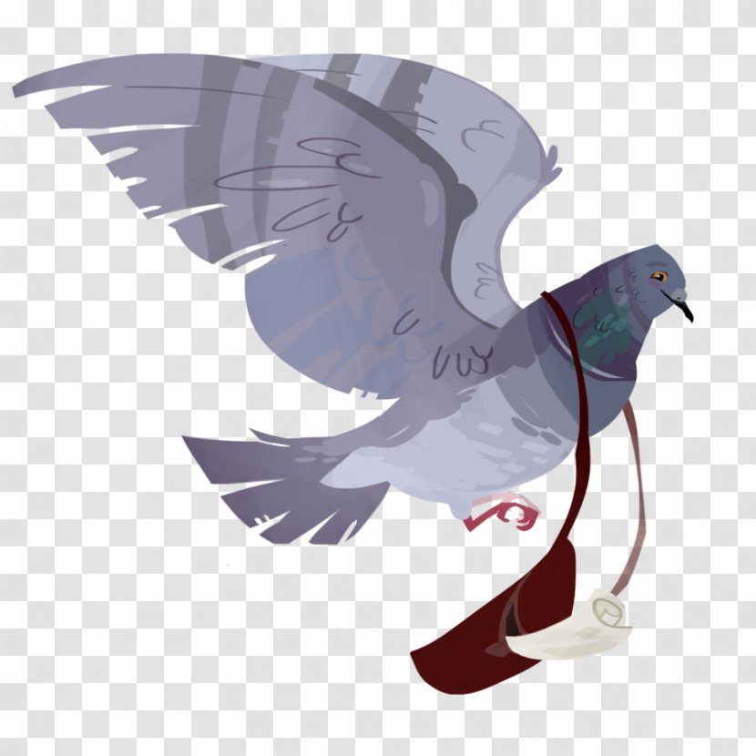 English Carrier Pigeon Homing Columbidae Bird King - Ilvermorny Transparent PNG
