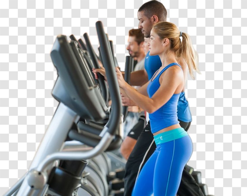 Elliptical Trainers Physical Fitness Centre Aerobic Exercise Gimnasio Dino - Joint - Aerobics Transparent PNG