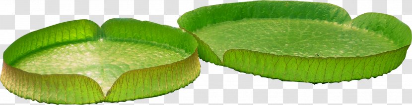 Leaf Flower Clip Art - Creative Green Lotus Transparent PNG