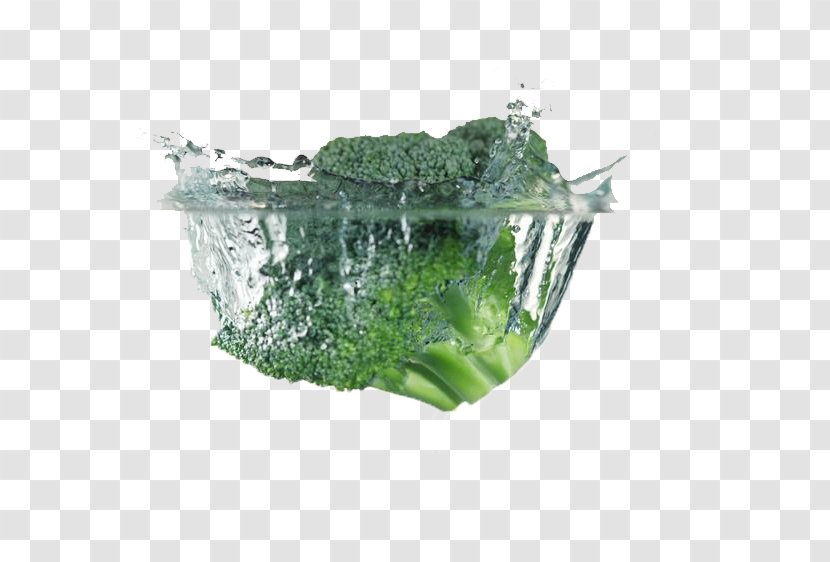 Broccoli Cardiovascular Disease Blood Vessel Vegetable Food - Immersed In Water Transparent PNG