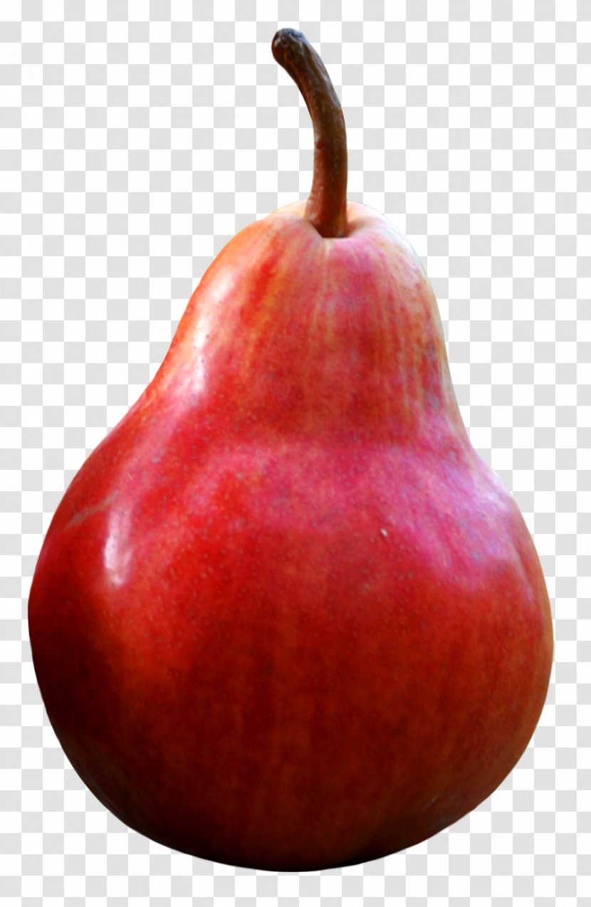 Pear Fruit - Apple - Red Transparent PNG