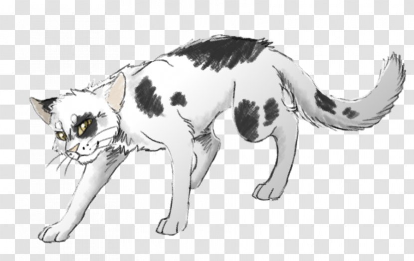 Swiftpaw Erin Hunter ThunderClan Art Video - Ahhh Pattern Transparent PNG