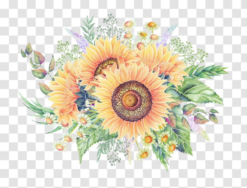 Common Sunflower Cartoon - Flora - Decorative Patterns Transparent PNG