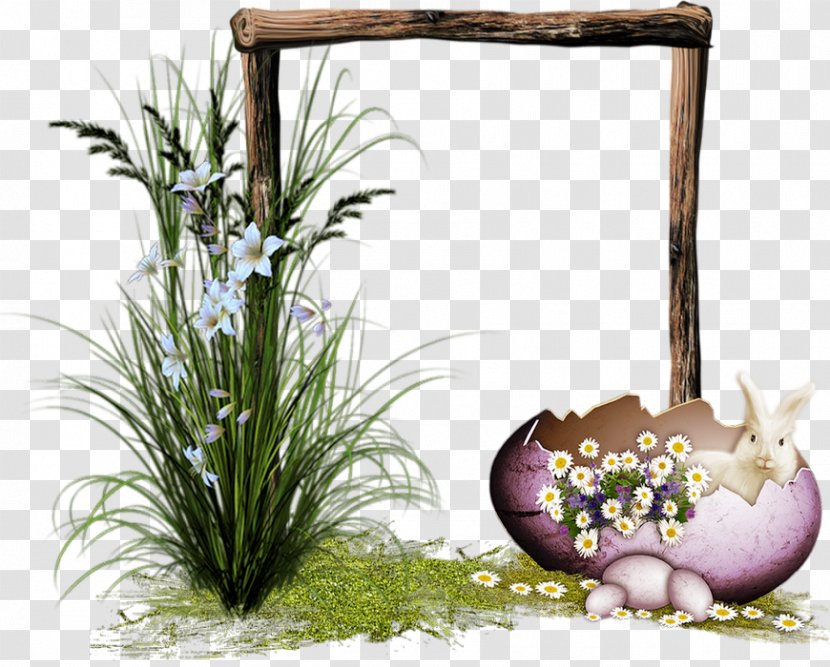 Easter - Plant - Frame Transparent PNG