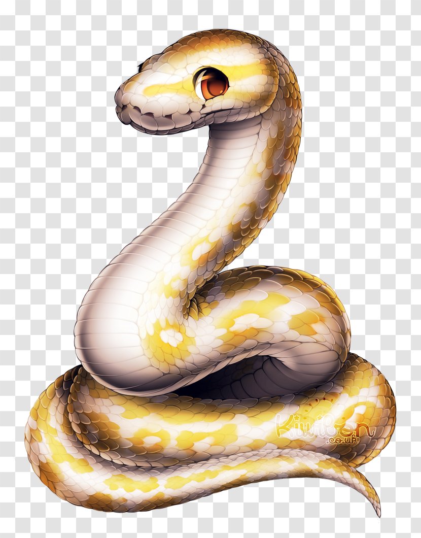 Corn Snake Ball Python Reptile Piebald Transparent PNG