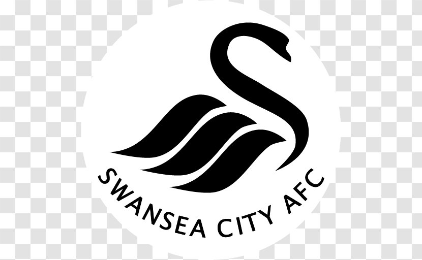 Swansea City A.F.C. EFL Cup Football 2017–18 Premier League - Alfie Mawson Transparent PNG