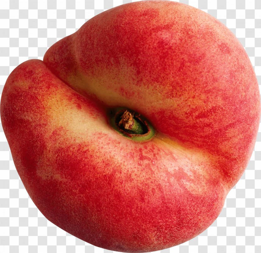 Saturn Peach Nectarine Fruit Clip Art - Mcintosh - Image Transparent PNG