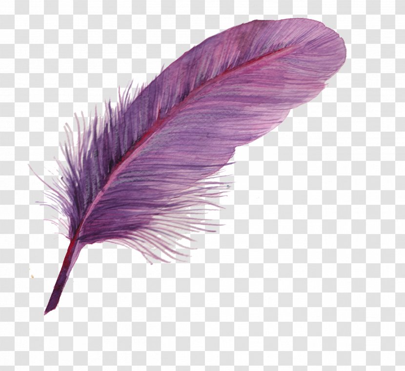 Feather Icon - Violet Transparent PNG