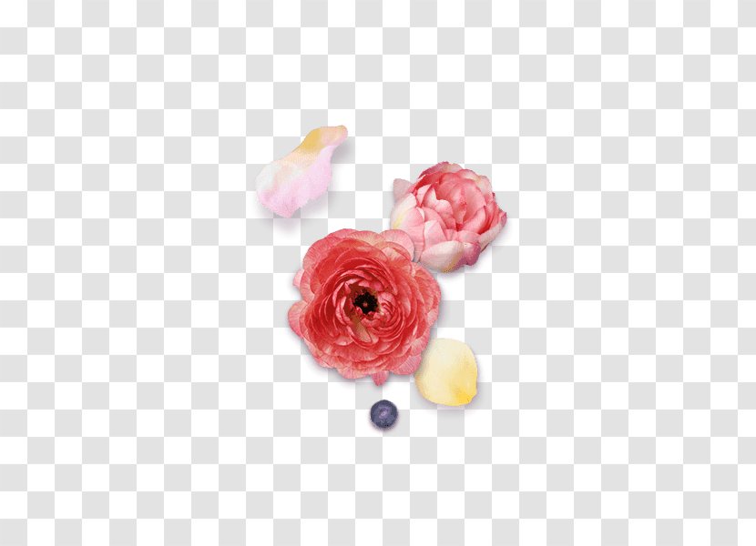 Flower Petal Gratis - Peach - Floral Decoration Pattern Transparent PNG