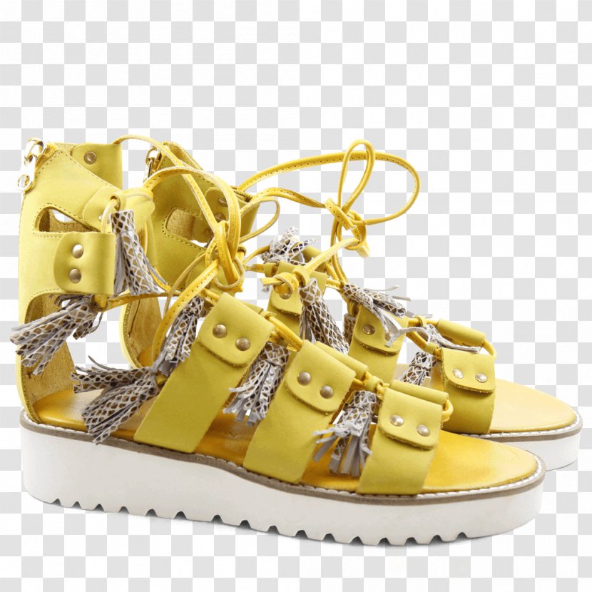 High-heeled Shoe Sandal Footwear Factory Outlet Shop - Ventepriveecom - Golden Glow Transparent PNG