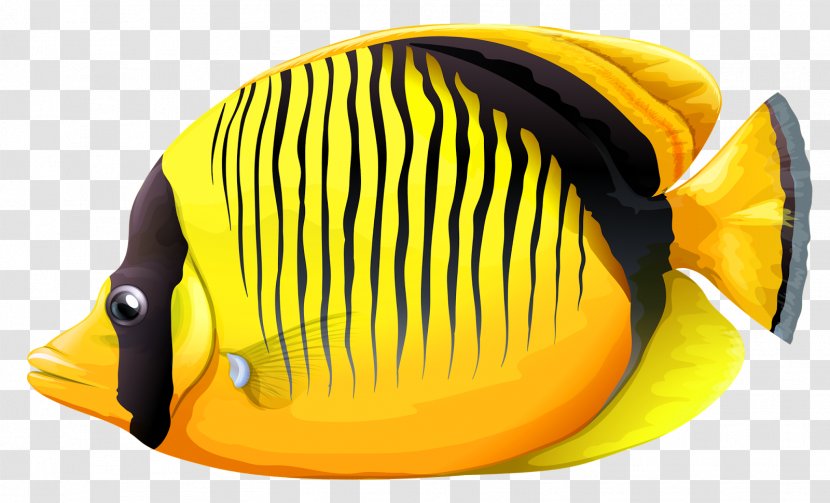 Lined Butterflyfish Vagabond Forceps Fish Clip Art - Personal Protective Equipment - Nine Transparent PNG