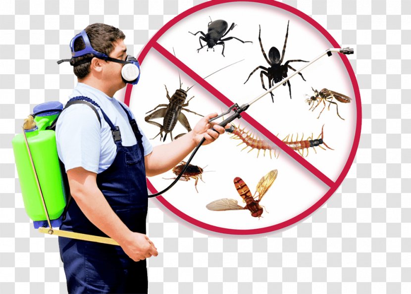 Mosquito Pest Control Fumigation Exterminator Transparent PNG