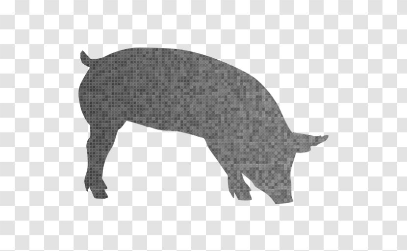 Pig Clip Art Hippopotamus Sticker Gray Wolf - Animal Figure Transparent PNG