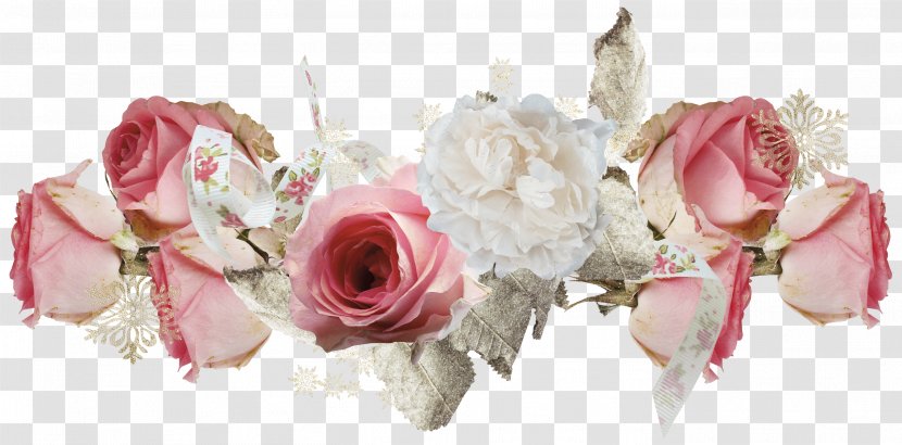 Computer Software Clip Art - Portable Document Format - Rosa Centifolia Transparent PNG