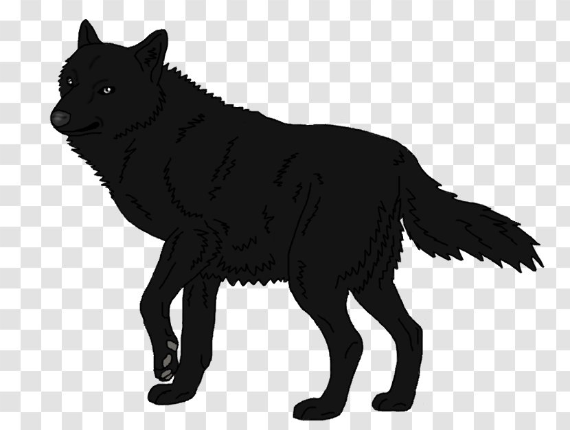 Schipperke Arctic Wolf Mexican Black Fox - Dog Like Mammal Transparent PNG