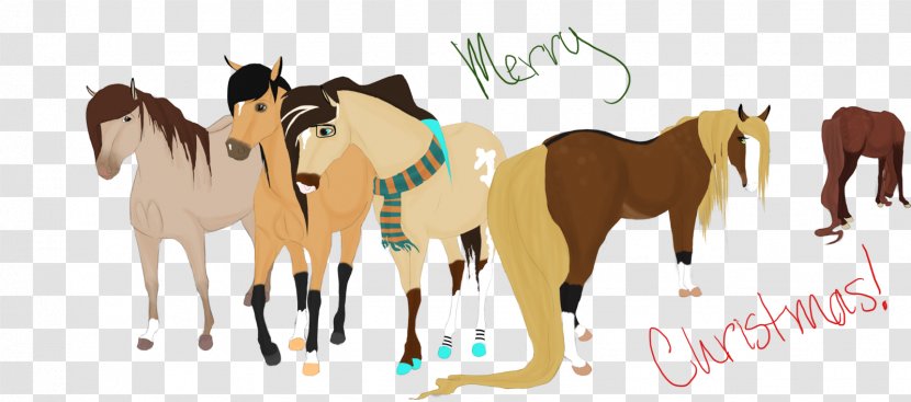 Mustang Foal Stallion Mare Colt - Horse Transparent PNG