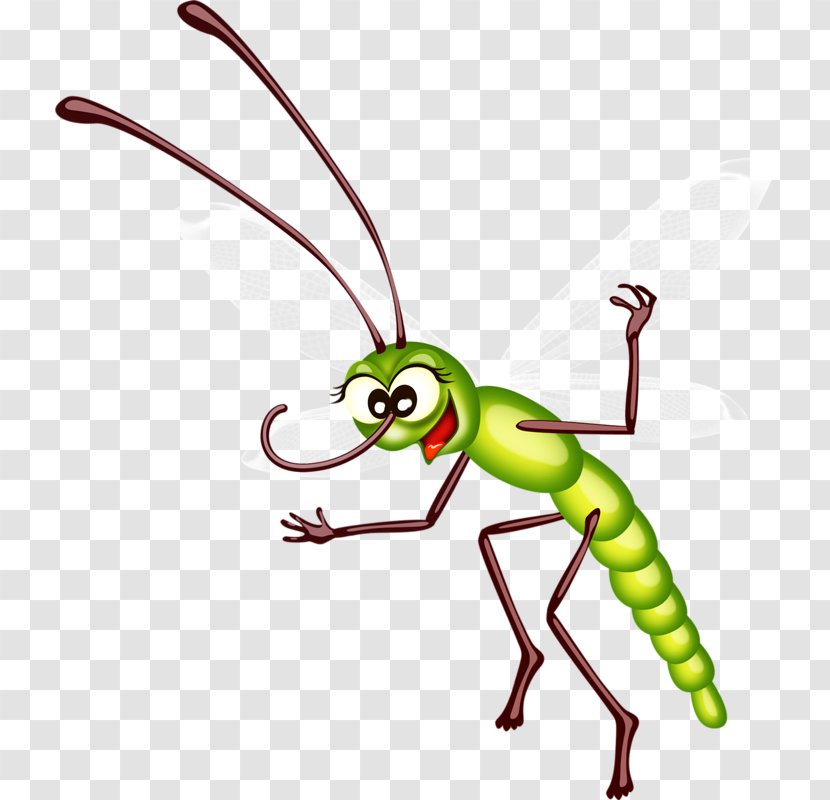 Ant Bee Cartoon Clip Art - Membrane Winged Insect - Green Ants Transparent PNG