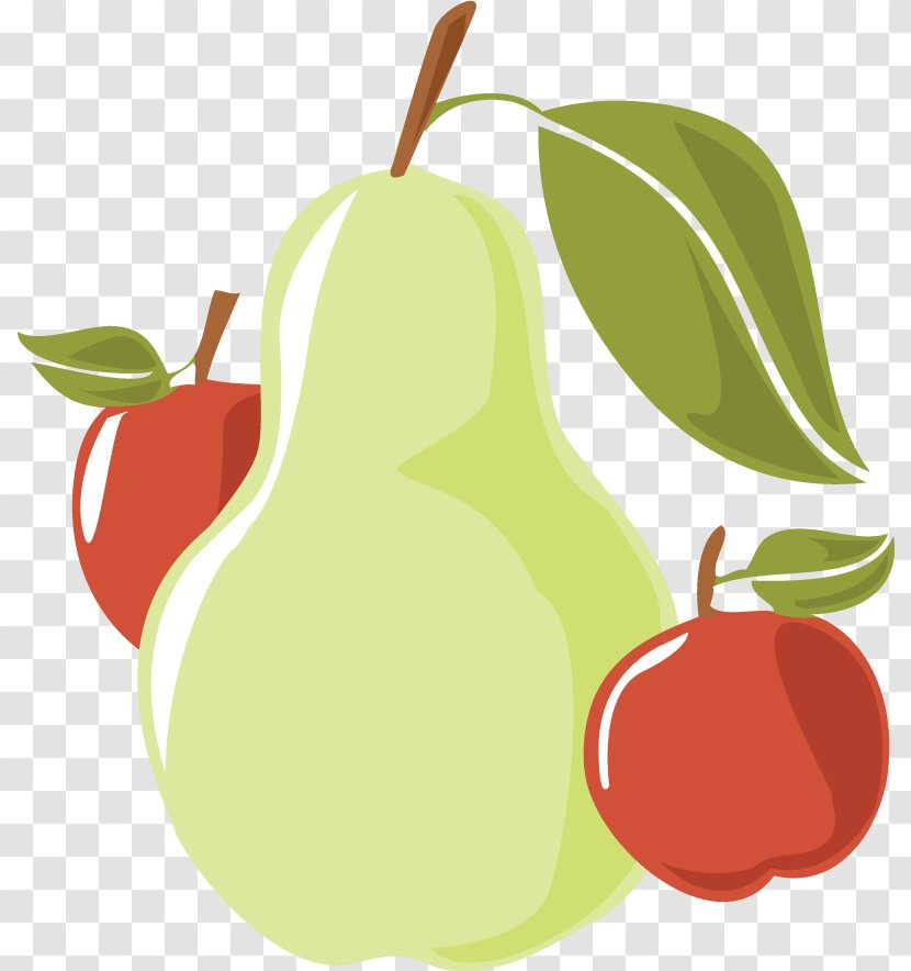 Fit For Life Food Combining Digestion Diet - Local Transparent PNG