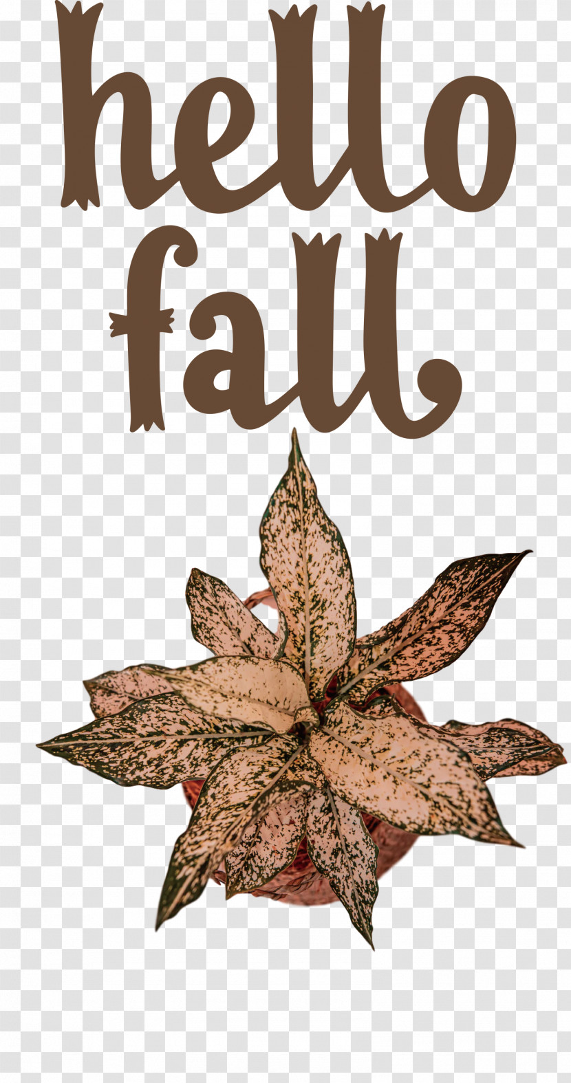 Hello Fall Fall Autumn Transparent PNG