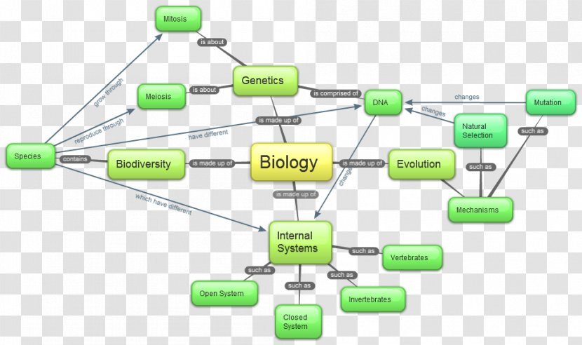 Concept Map Biology Cell - Cellular Respiration Transparent PNG