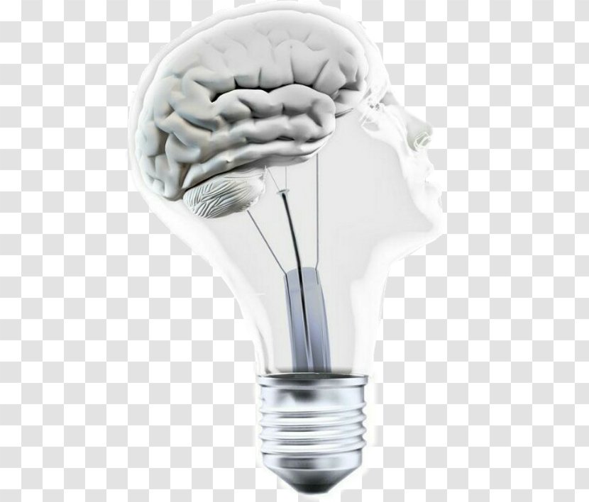 Stock Photography Image Incandescent Light Bulb Illustration Royalty-free - Flower - Brain Transparent PNG