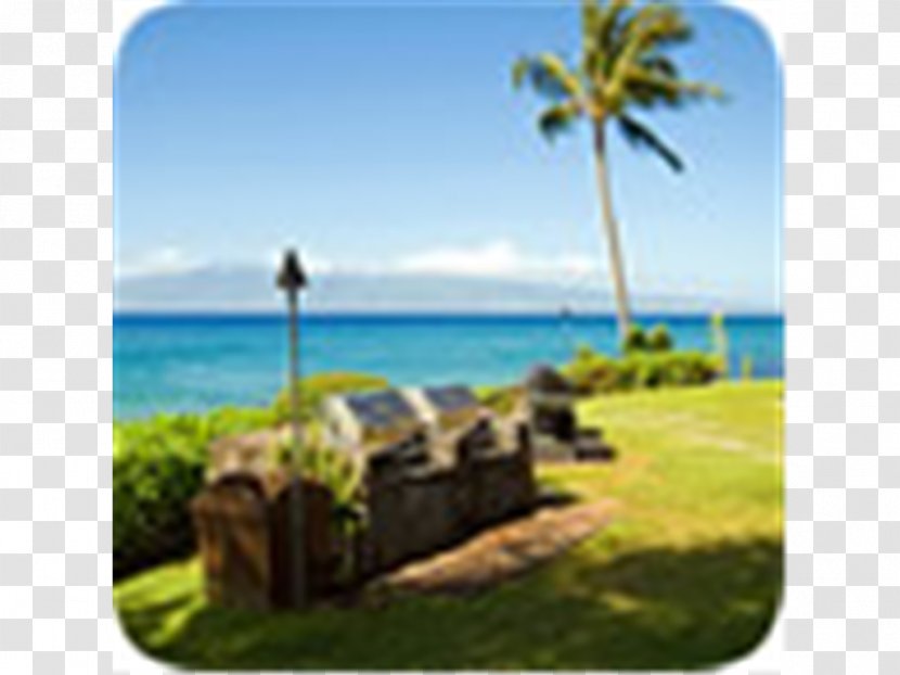 Caribbean Vacation Tropics Tourism Sky Plc - Grass Transparent PNG