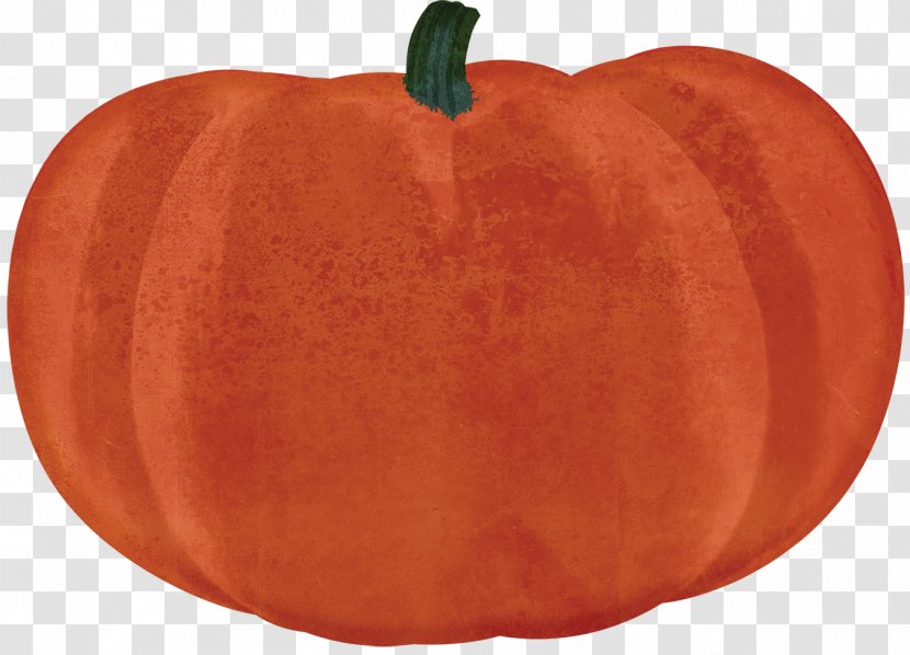 Pumpkin Calabaza Winter Squash Cucurbita Apple - Spice Clipart Transparent PNG