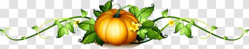 Pumpkin Vine Royalty-free Clip Art - Floristry - Pumpkin,vegetables,leaf Transparent PNG