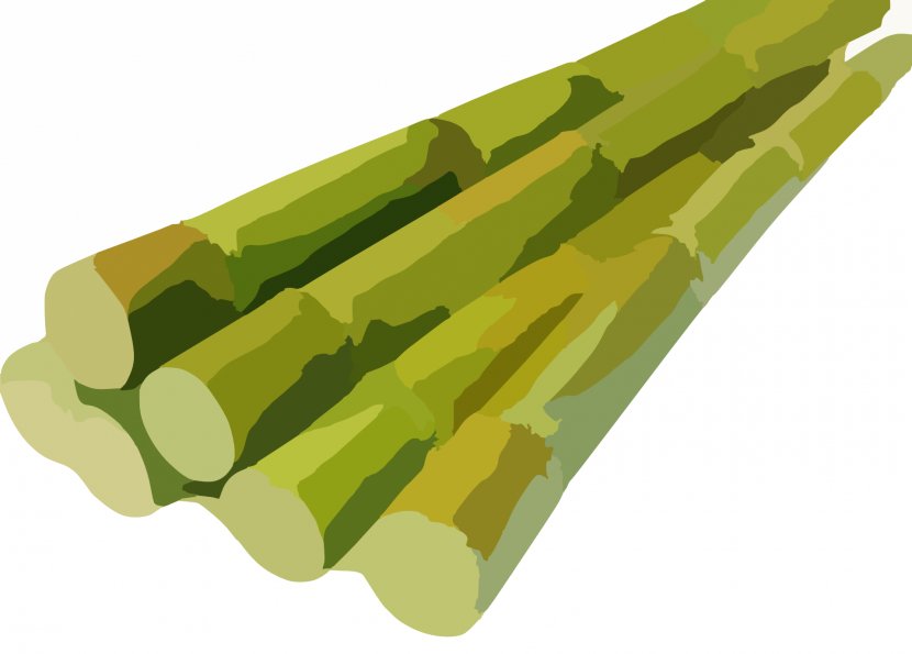 Sugarcane Juice Agriculture - Grass - Sugar Transparent PNG