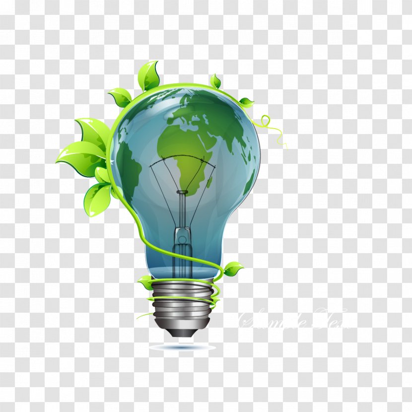 Harry And Co. Energy Conservation ITM Lucknow Solar - Water - Vector Leaves Bulbs Transparent PNG
