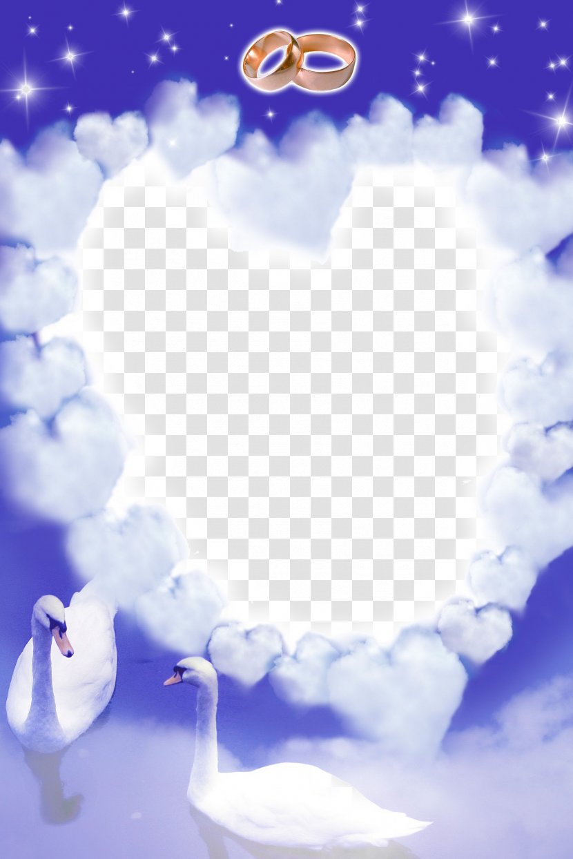 Marriage Proposal Photography Wedding Love - White Swan Fantasy Frame Transparent PNG