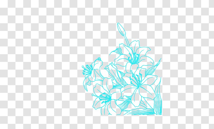 Drawing Photography Flower - Holi Transparent PNG