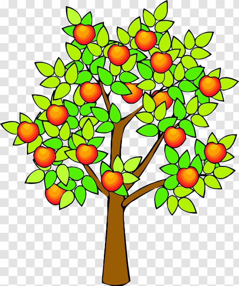 Drawing Fruit Tree Clip Art Apple Image - Plant Stem - Spring Green Transparent PNG