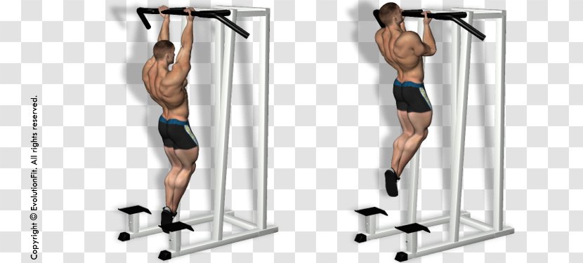 Pull-up Weight Training Chin-up Horizontal Bar Fitness Centre - Tree - Delta Blues Transparent PNG