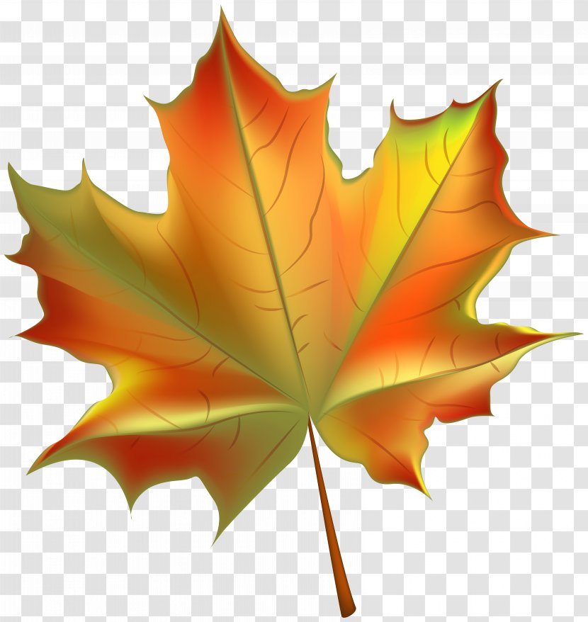 Autumn Leaf Color Clip Art - Beautiful Transparent Image Transparent PNG