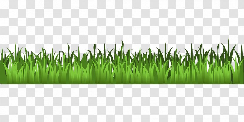 Clip Art Openclipart Illustration Vector Graphics - Grass Family - Announce Cartoon Transparent PNG