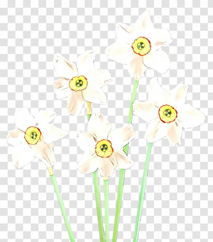 Floral Flower Background - Bouquet - Wildflower Plant Transparent PNG