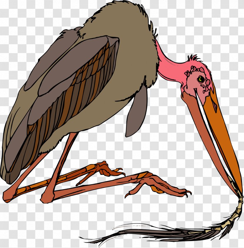 Bird Penguin Drawing Clip Art - Vulture - Stork Transparent PNG