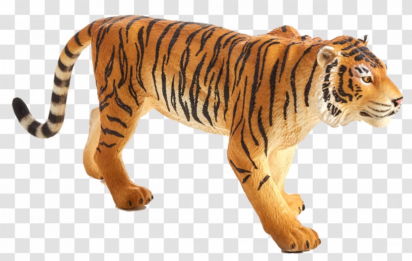 Bengal Tiger Wildlife Cat Mammal Thylacine - Mangrove Transparent PNG
