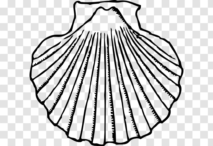 Clam Seashell Oyster Clip Art - Royaltyfree - Clams Cliparts Transparent PNG