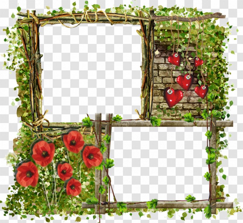 Cut Flowers Floral Design Flower Bouquet Picture Frames - Plant - Pour Clipart Transparent PNG