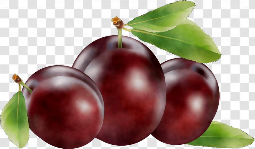 Clip Art Fruit Cherries Image - Peach - Prunus Transparent PNG