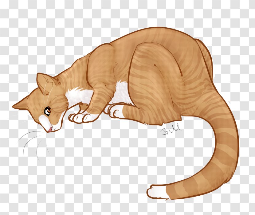 Whiskers Kitten Tabby Cat Dog - Claw Transparent PNG